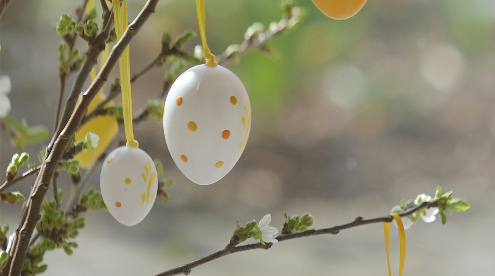 easter egg decorations hanging from branches